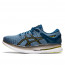 SEPATU LARI ASICS METARIDE