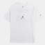 BAJU BASKET AIR JORDAN Anti Gravity GFX Tee