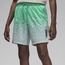 CELANA BASKET AIR JORDAN Zion Shorts