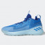 SEPATU BASKET ADIDAS D ROSE SON OF CHI 2.0