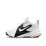 SEPATU BASKET NIKE TEAM HUSTLE D 12 (GS)
