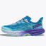 SEPATU TRAIL HOKA ONE ONE WMNS SPEEDGOAT 5