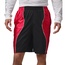 CELANA BASKET AIR JORDAN Dri-FIT Y2K Shorts