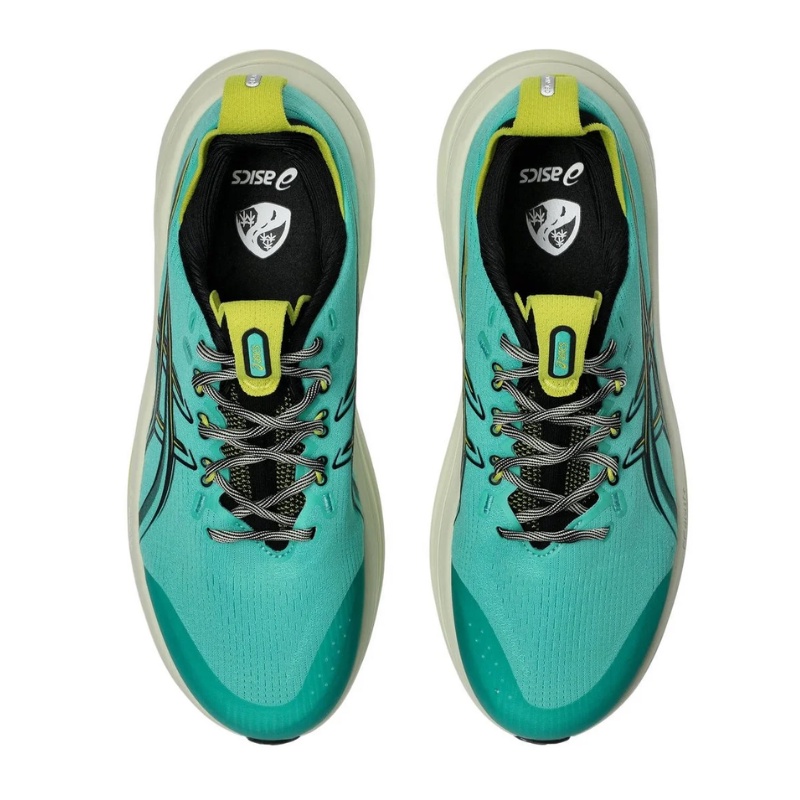 SEPATU LARI ASICS GEL-NIMBUS 28 TR