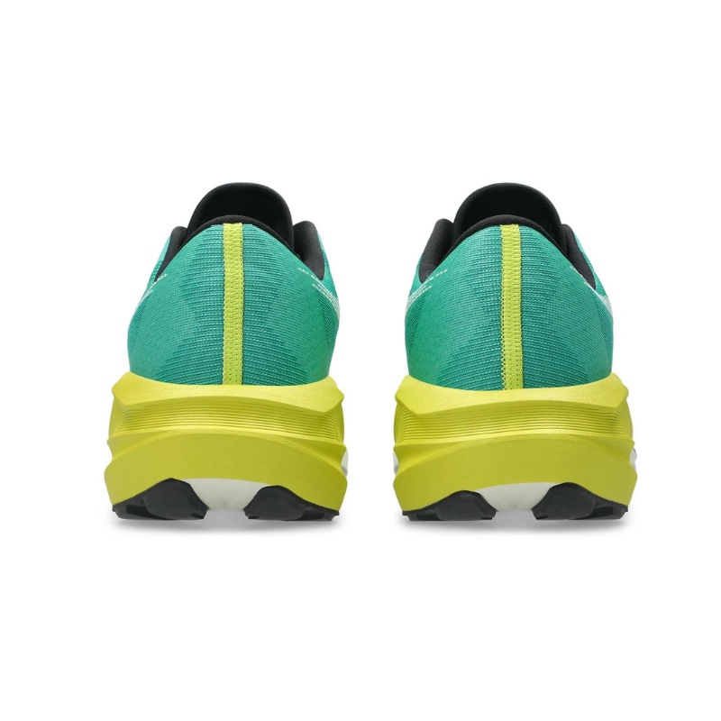 SEPATU LARI ASICS NOVABLAST 5 TR