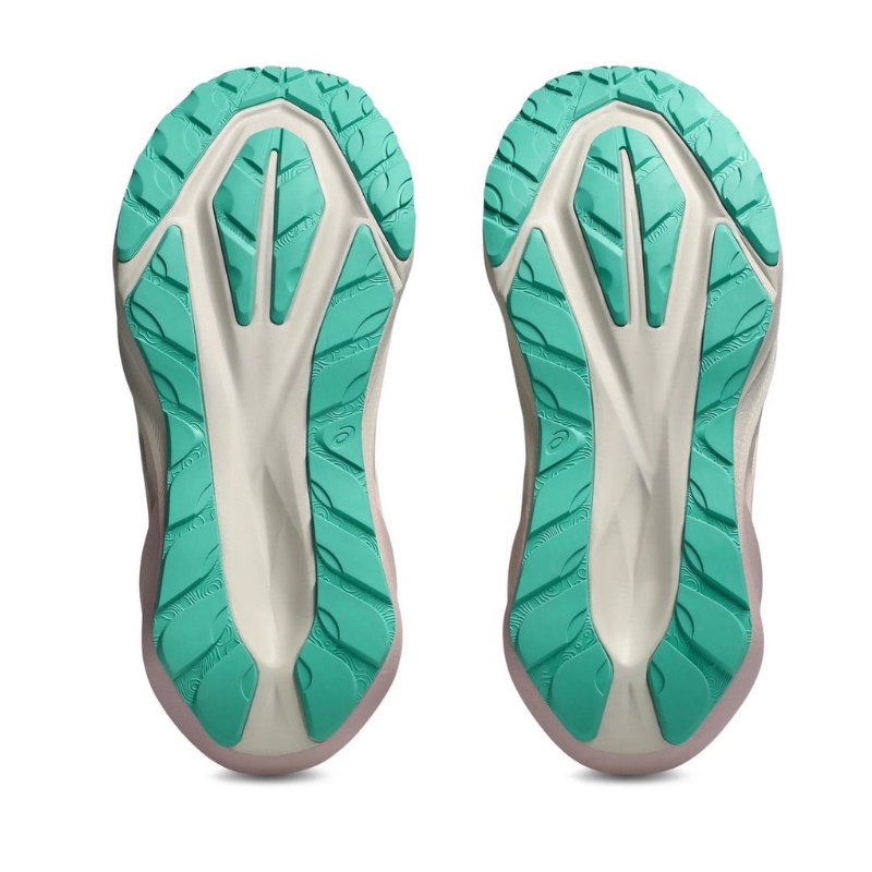 SEPATU LARI ASICS  WMNS NOVABLAST 5 TR