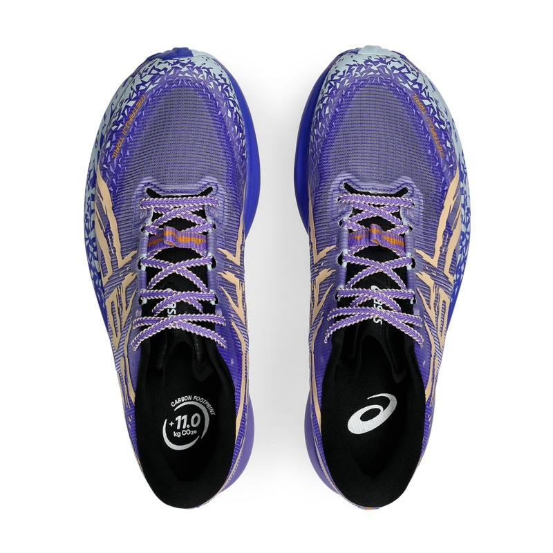 SEPATU TRAIL ASICS METAFUJI TRAIL