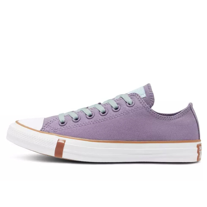 SEPATU SNEAKERS CONVERSE Chuck Taylor All Star Frosted Dimensions