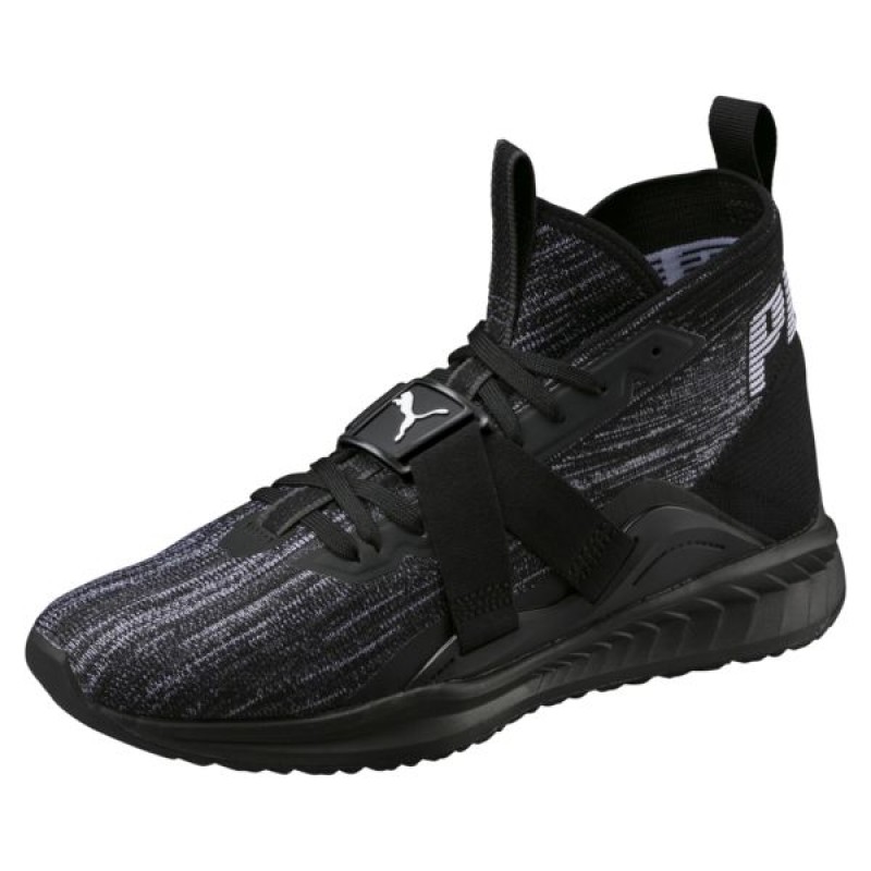 SEPATU LARI PUMA Ignite Evoknit 2