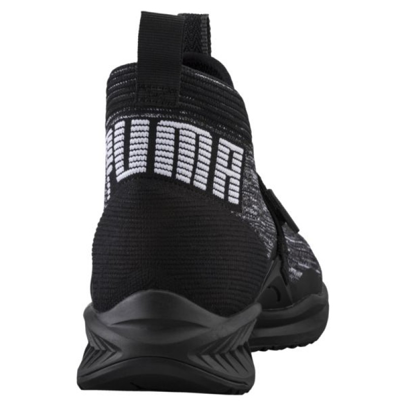 SEPATU LARI PUMA Ignite Evoknit 2