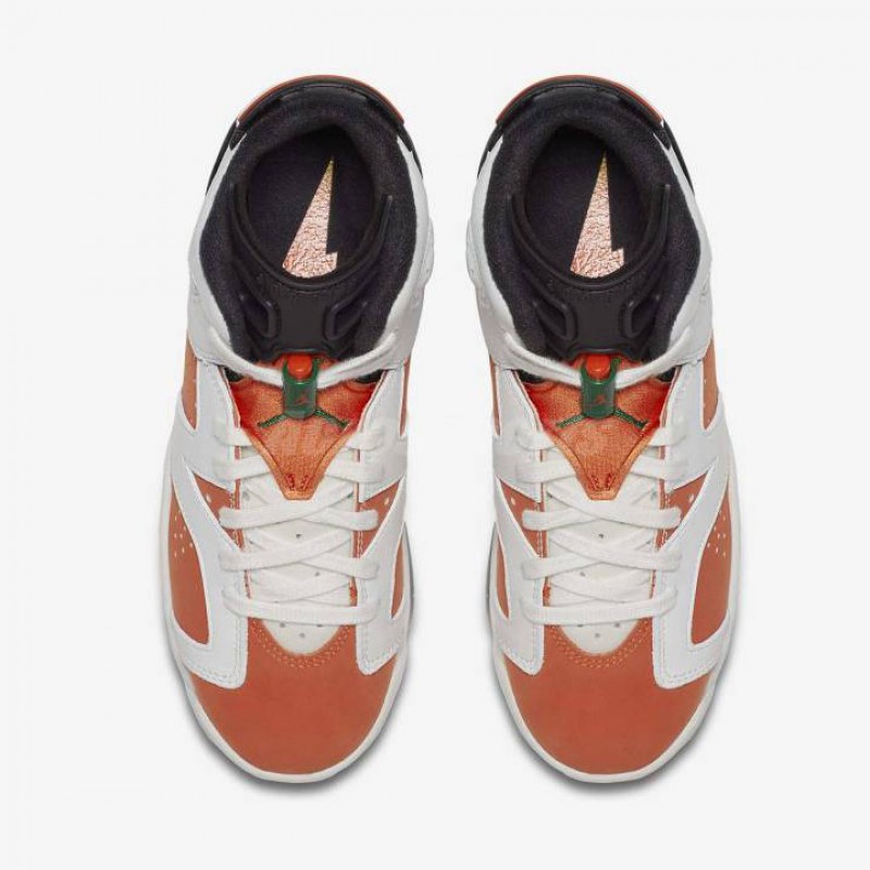 SEPATU BASKET AIR JORDAN AJ 6 Retro BG