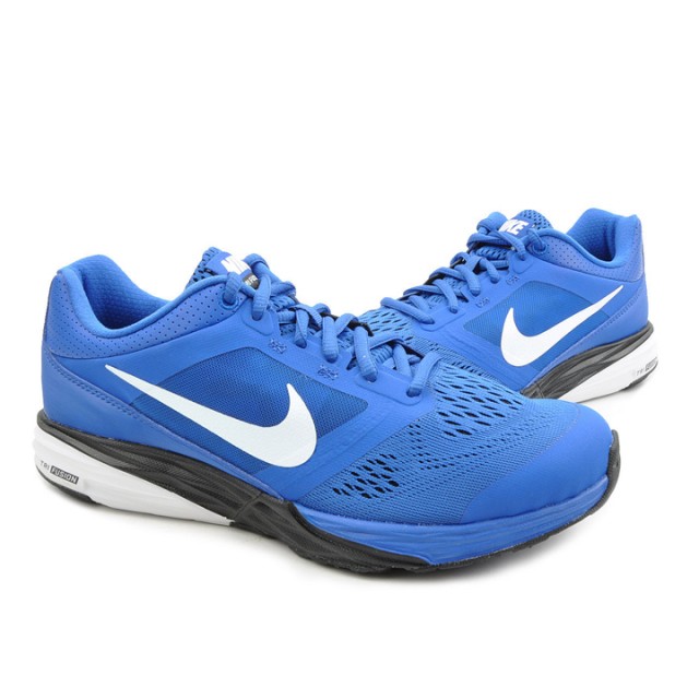 SEPATU LARI NIKE Tri Fusion Run MSL