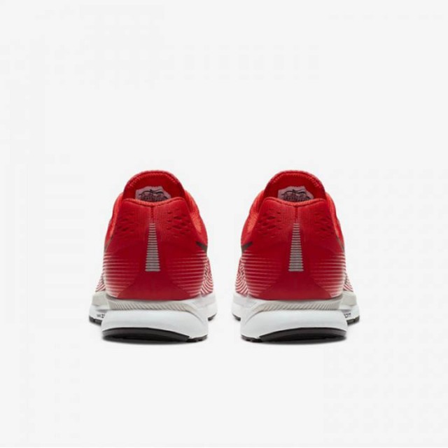 Air Zoom Pegasus 34 foto 4