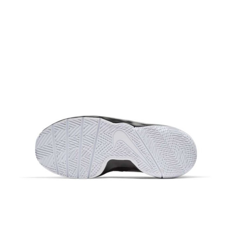 SEPATU BASKET NIKE Team Hustle Quick GS