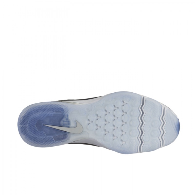 SEPATU TRAINING NIKE Wmns Air Zoom Fitness Metallic