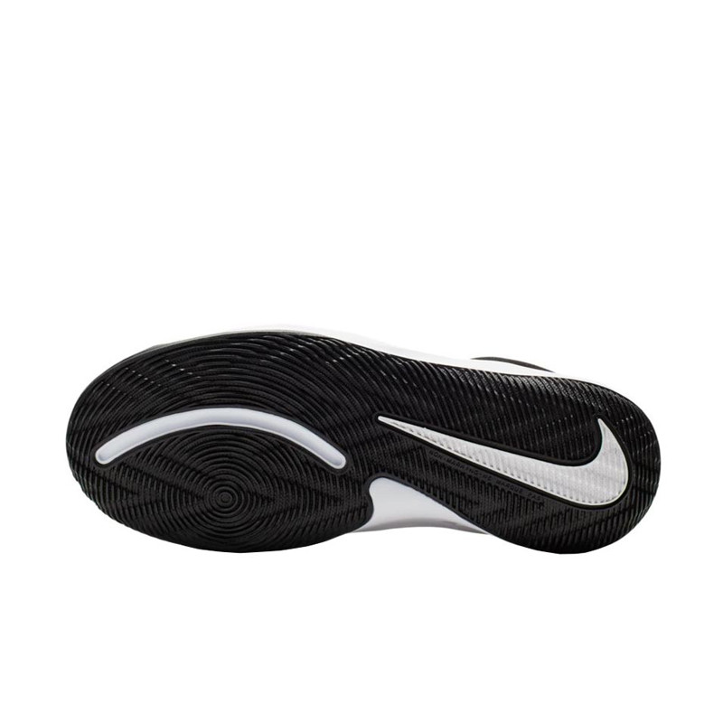 SEPATU BASKET NIKE Team Hustle D 9 GS