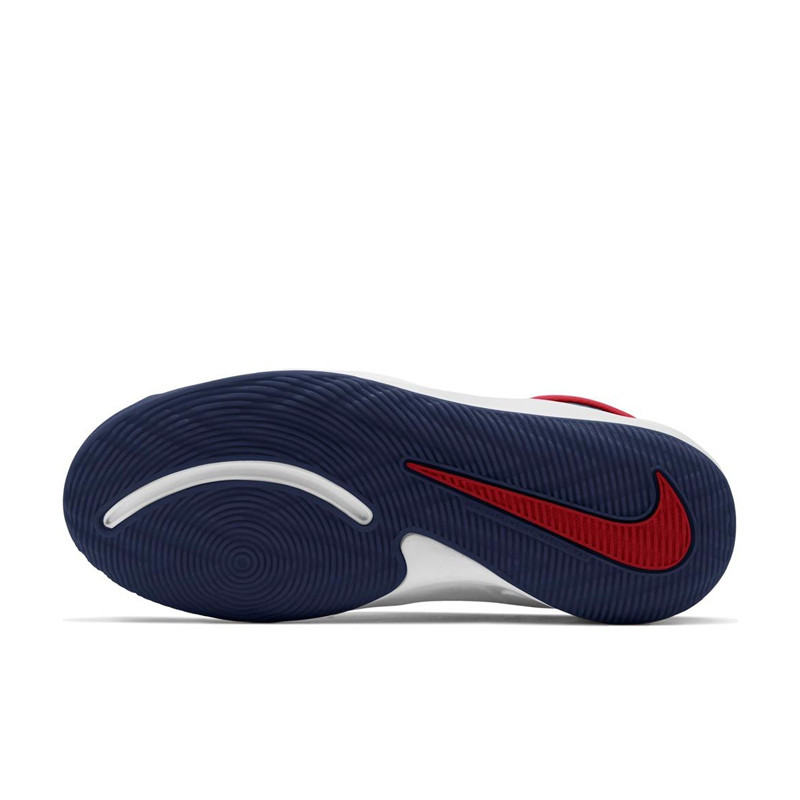 SEPATU BASKET NIKE Team Hustle D 9 GS