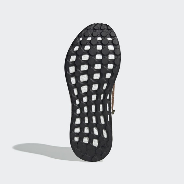  Pureboost foto 2