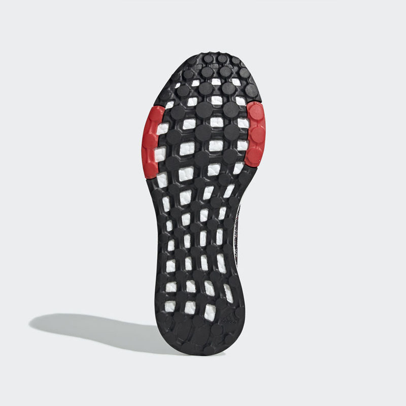 Pureboost DPR foto 4
