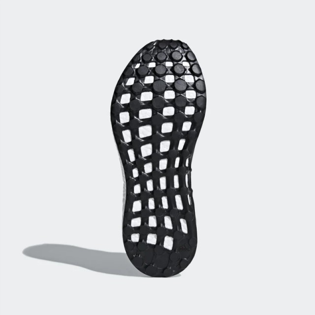  Pureboost foto 2