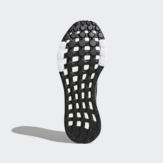 Pureboost DPR foto 2