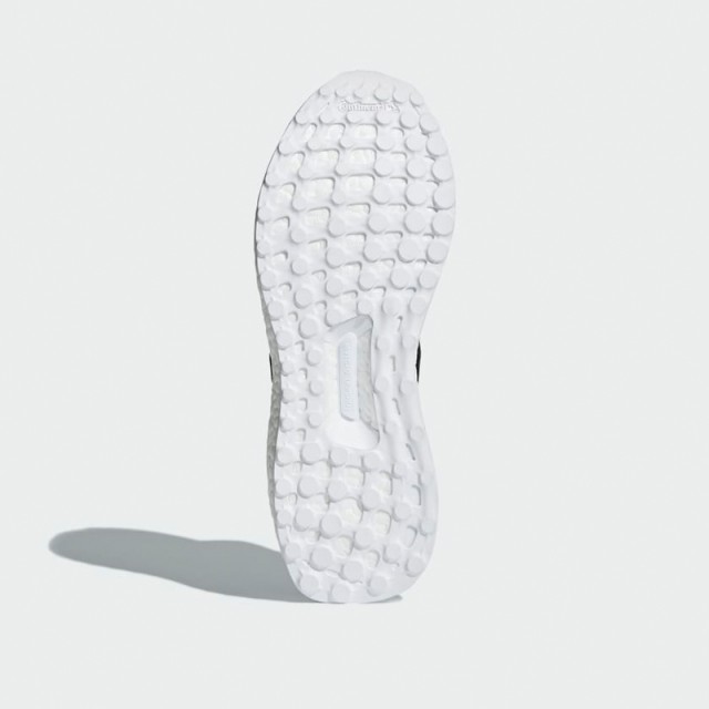 SEPATU LARI ADIDAS Wmns Ultraboost Parley