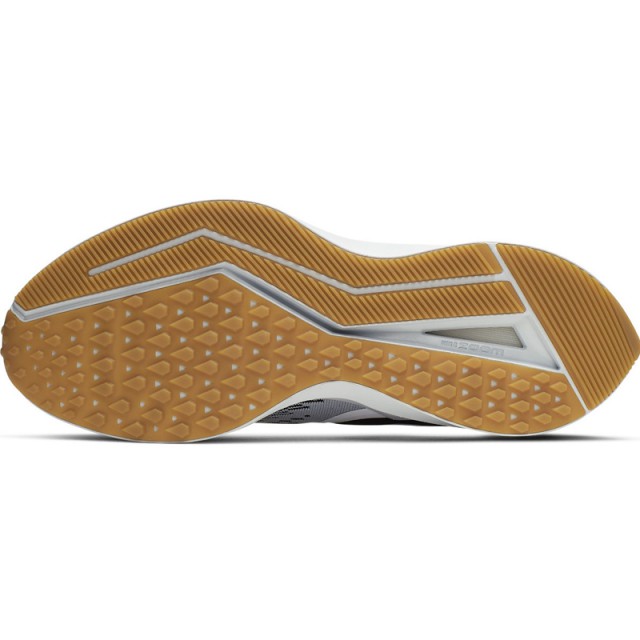 SEPATU LARI NIKE Air Zoom Winflo 6 SE