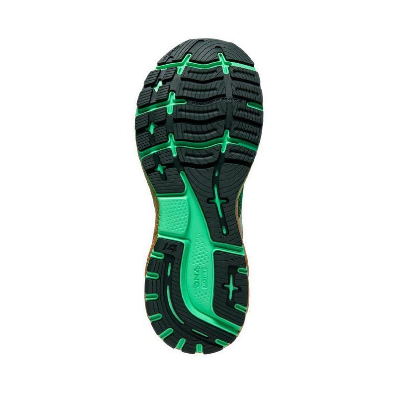 SEPATU LARI BROOKS Ghost 14 Run Lucky