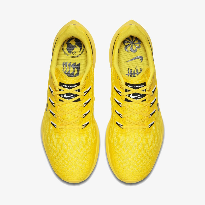 SEPATU LARI NIKE Air Zoom Pegasus 36 Cody Hudson