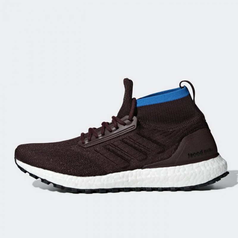 SEPATU LARI ADIDAS Ultraboost All Terrain
