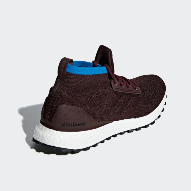 SEPATU LARI ADIDAS Ultraboost All Terrain