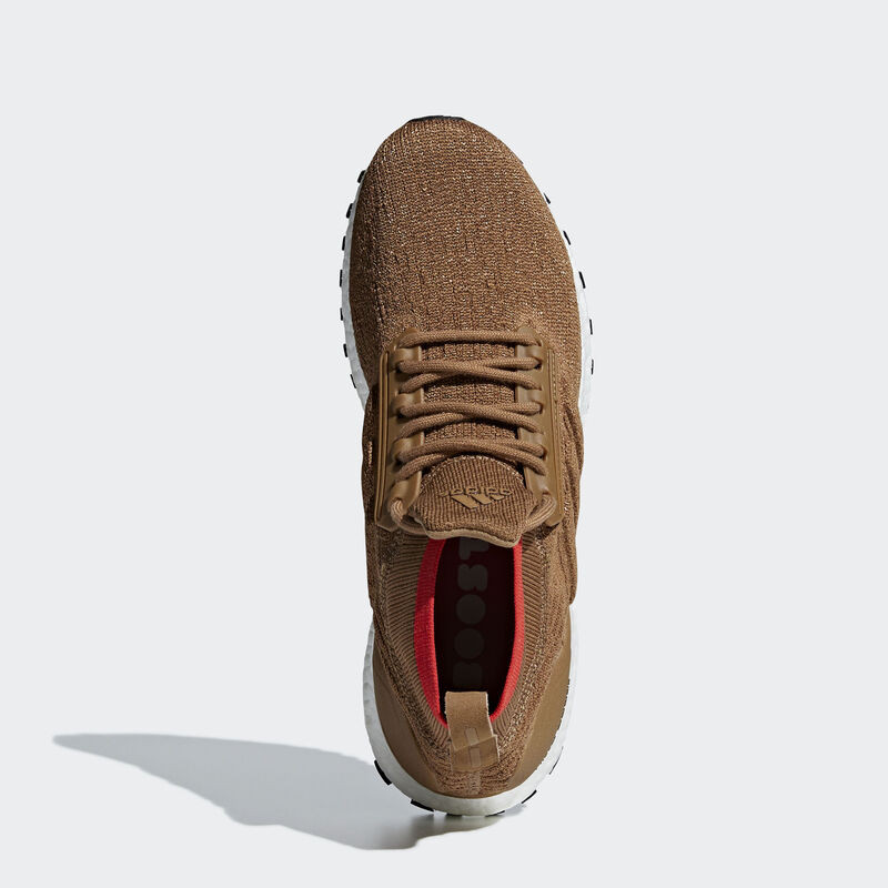 Ultraboost All Terrain foto 3