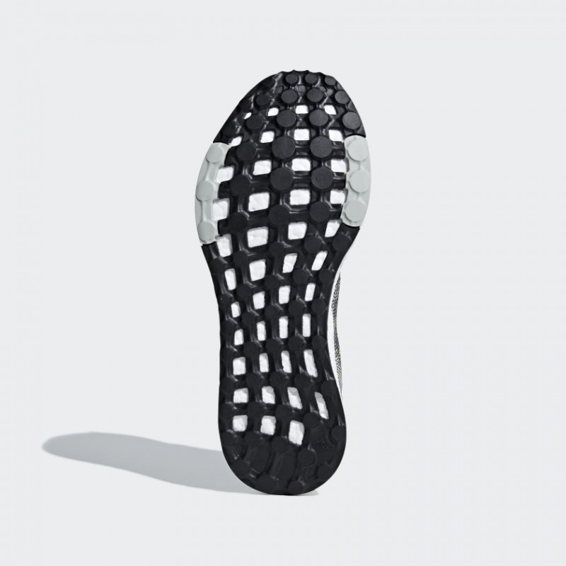 Pureboost Dpr foto 4