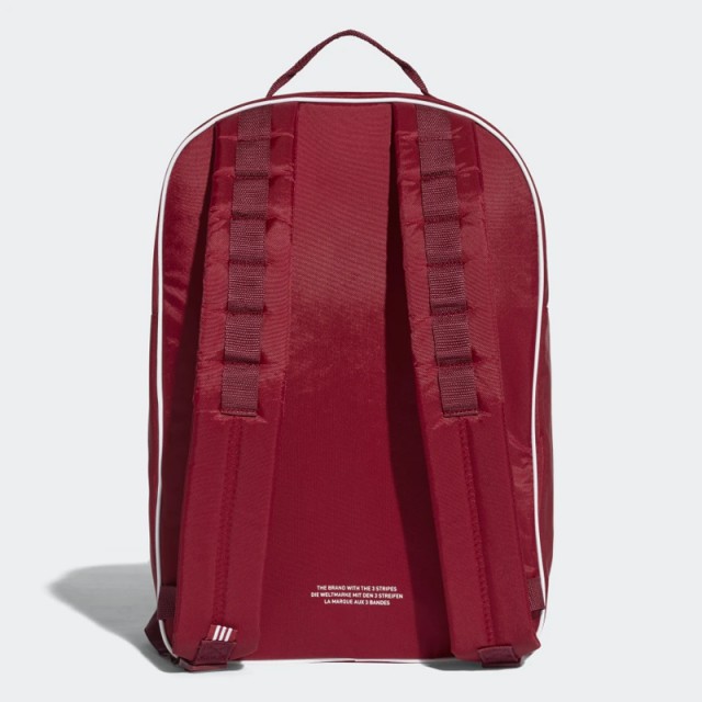 Classic Backpack foto 2