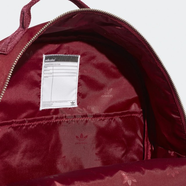 Classic Backpack foto 4