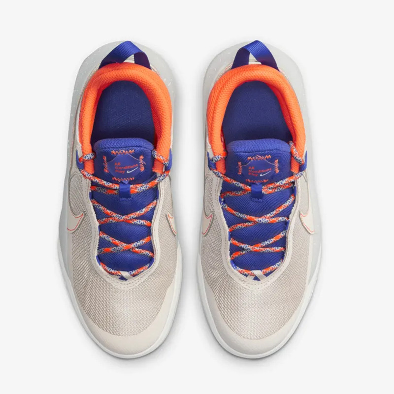 SEPATU BASKET NIKE Team Hustle D 10 Se Gs