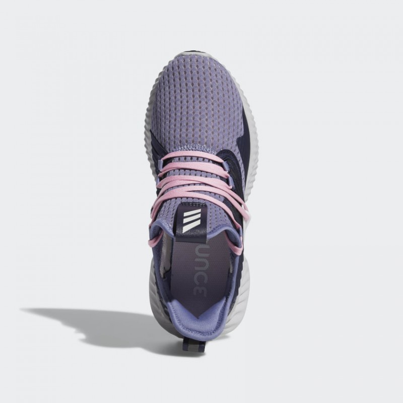 Wmns Alphabounce Instinct Clima foto 4