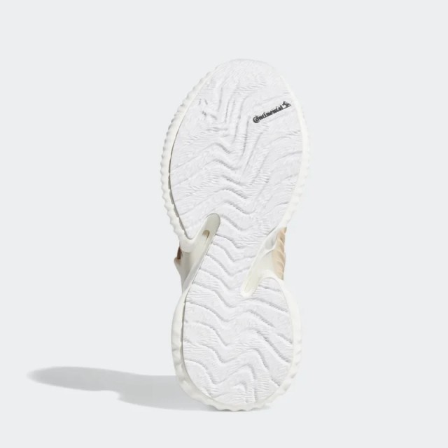 Wmns Alphabounce Instinct Clima foto 2