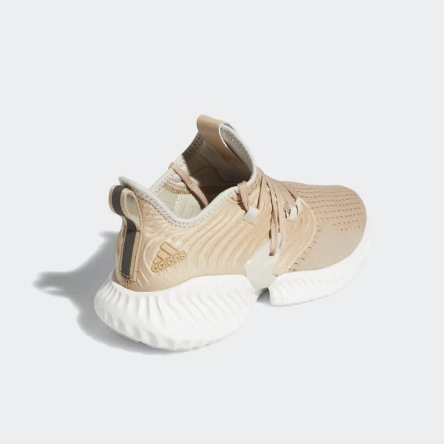Wmns Alphabounce Instinct Clima foto 3