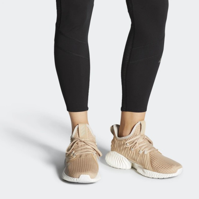 Wmns Alphabounce Instinct Clima foto 4