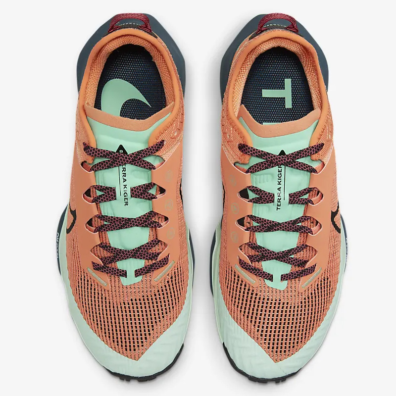 SEPATU TRAIL NIKE Wmns Terra Kiger 8