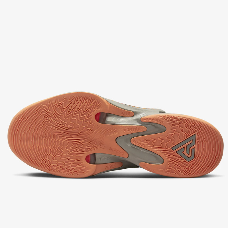 SEPATU BASKET NIKE Zoom Freak 4 Letter Bros