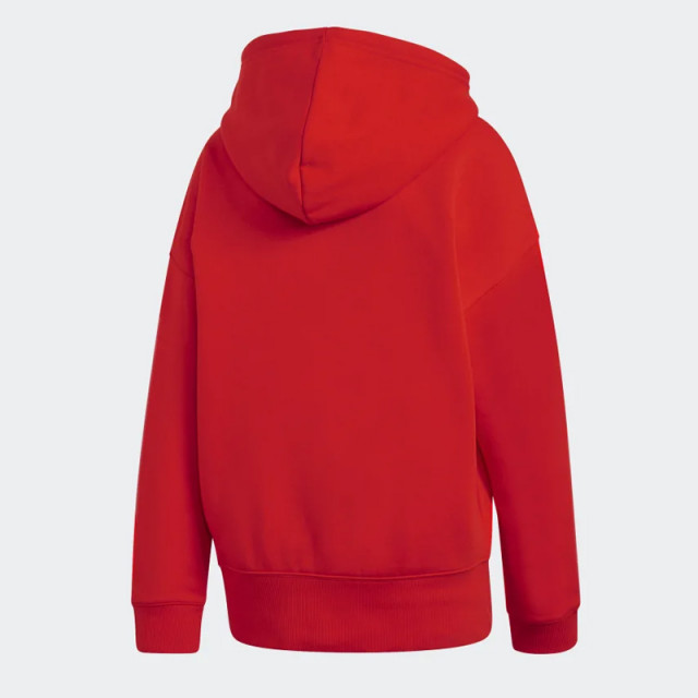 Wmns Coeeze Hoodie foto 2