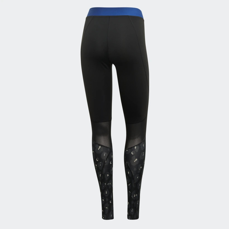 CELANA TRAINING ADIDAS Wmns Alphaskin Iteration Tights