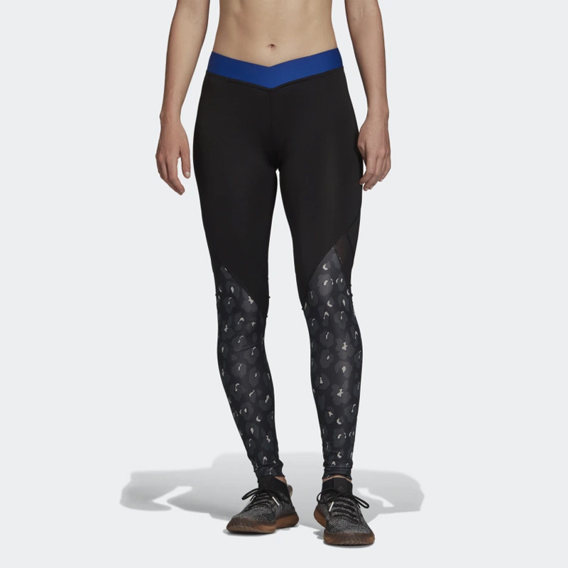 CELANA TRAINING ADIDAS Wmns Alphaskin Iteration Tights
