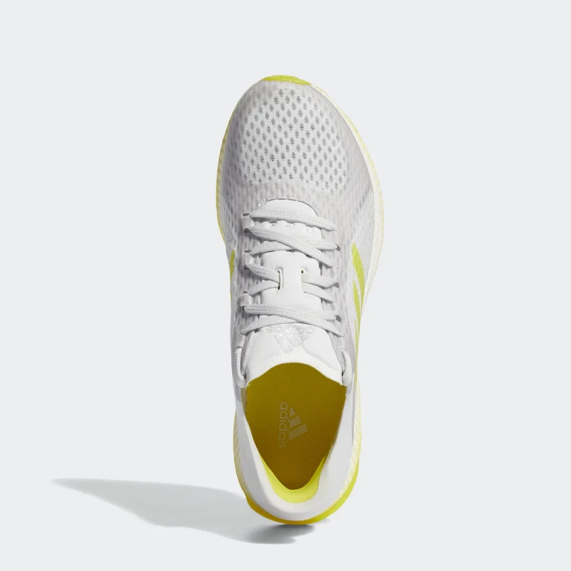 SEPATU LARI ADIDAS Wmns Focus Breathein