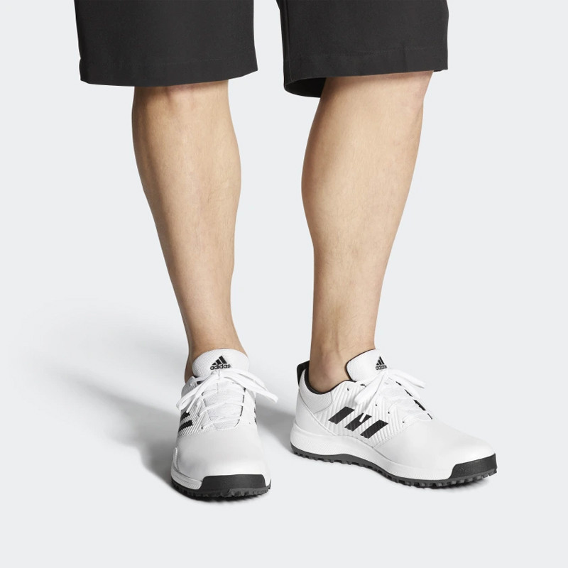 SEPATU TRAINING ADIDAS Golf CP Traxion Spikeless