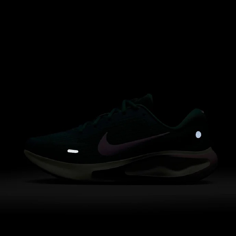 SEPATU LARI NIKE Wmns Journey Run
