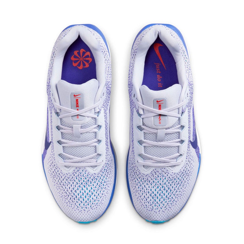 SEPATU LARI NIKE AIR WINFLO 11