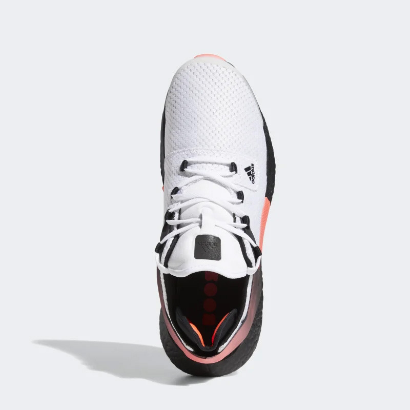 SEPATU LARI ADIDAS Alphatorsion Boost